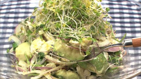 もこみち流　ささみとアボカドのサラダ〜マスタードマヨドレッシング〜