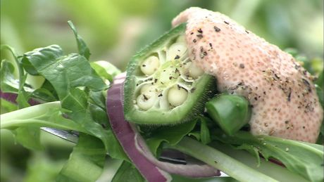 もこみち流　たらマヨソースのグリーンサラダ