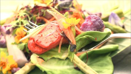 もこみち流　シンガポール　チリチキンサラダ