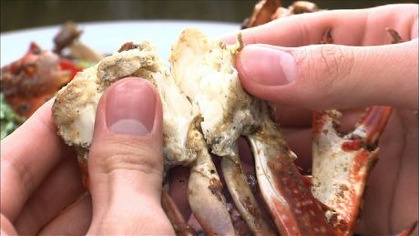 もこみち流　ワタリガニの辛炒め