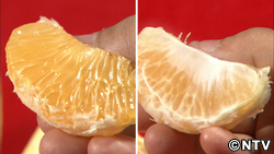 夏みかんの薄皮食べる時にむく？むかない？