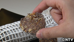 レンコンと柿の種のサラメ・ディ・チョコラート