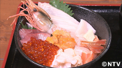 紹介したところ