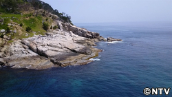 紹介したところ