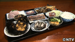 紹介したところ