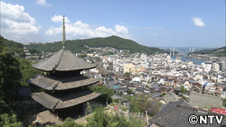 紹介したところ