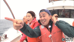 ナツナビゲーター