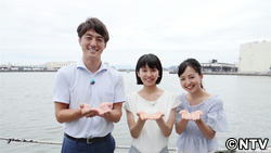 ナツナビゲーター