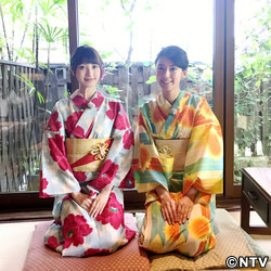 ナツナビゲーター