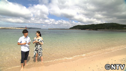 ナツナビゲーター