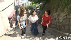 ナツナビゲーター