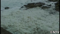 大自然の驚異 ファイル４「泡だらけの街」