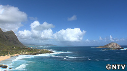 再開発プロジェクト