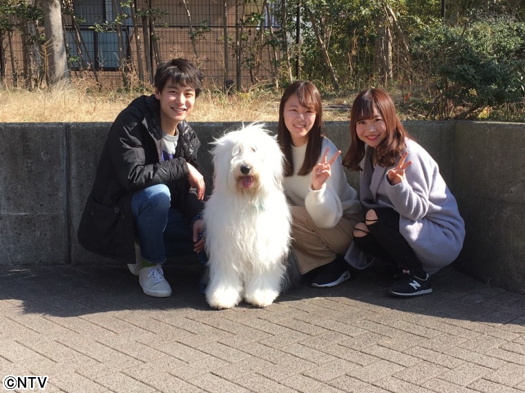 Tokyoキャラバン そらmap Zip 日本テレビ