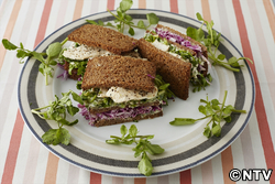 もこみち流 チキンサンド 〜ヨーグルトとサワークリームソースで〜