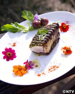 もこみち流 オリーブハマチのハーブ焼き