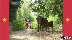 日本の人気番組の変身ぶりをナビゲート!