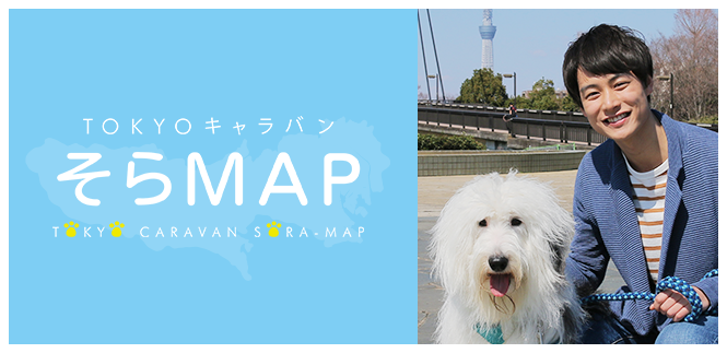 Tokyoキャラバン そらmap Zip 日本テレビ