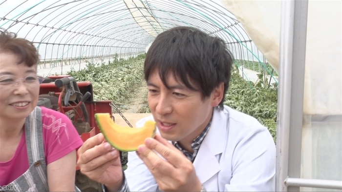 な るほどマスカレッジ 今が旬 メロンのおいしい食べ方を科学する Zip 特集 Zip 日本テレビ